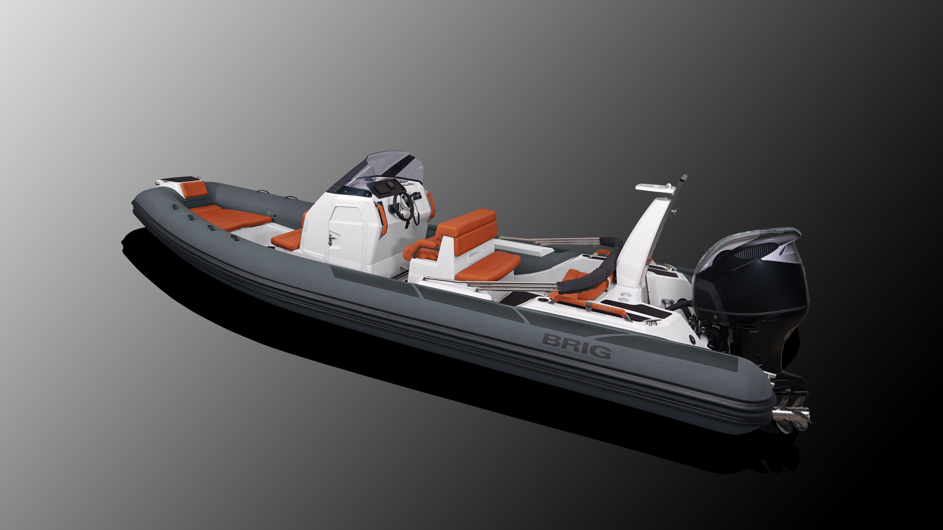 Brig Ribs Brig Eagle 8