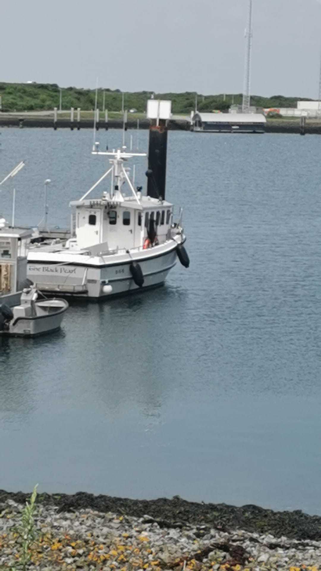 Vissersboot Sygnus Catfish