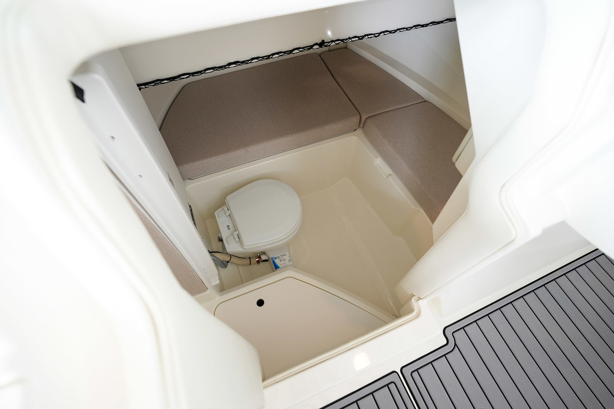 Sea Ray SDX 250