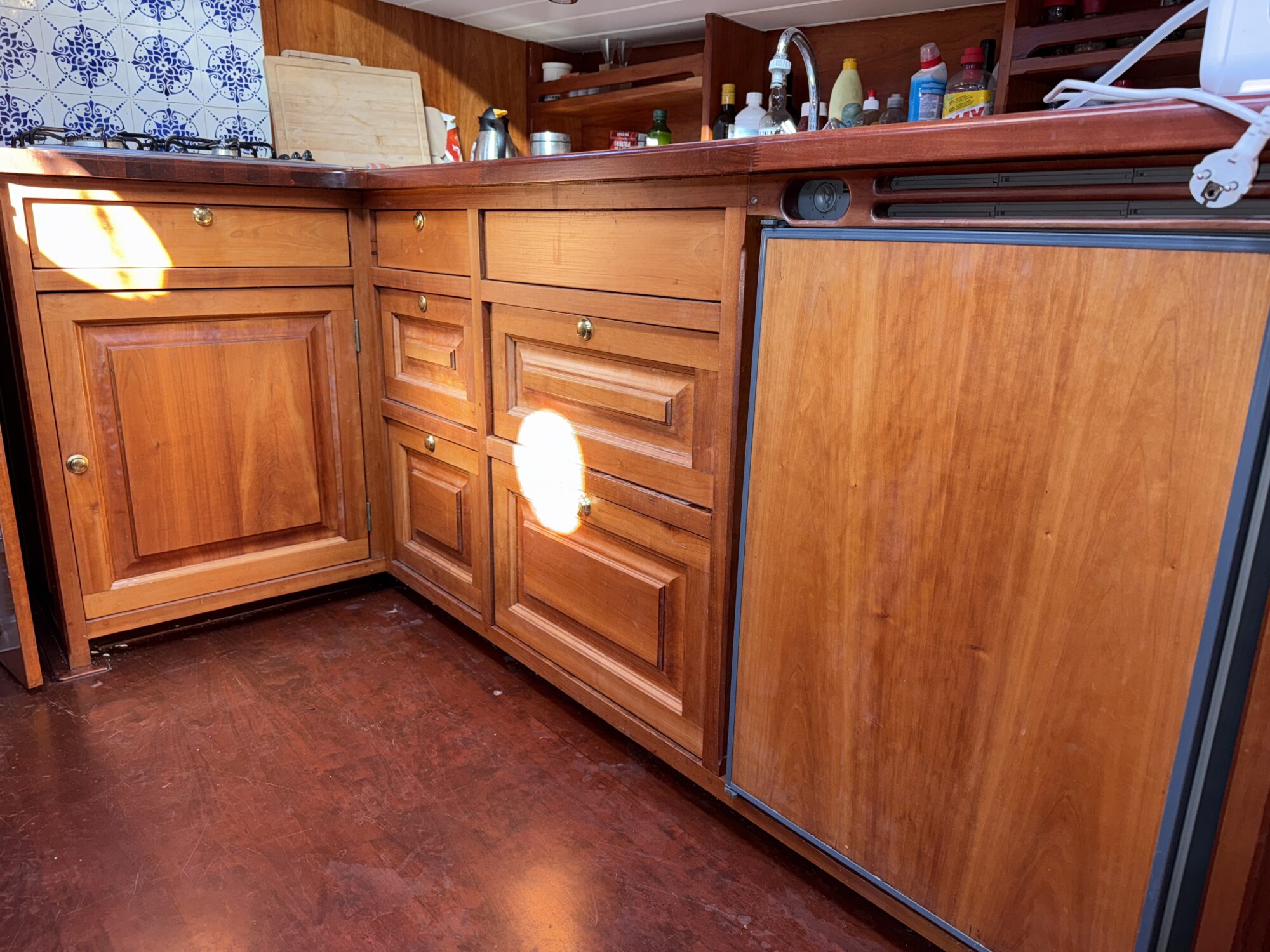 Noordzeekotter ‘WR 134’