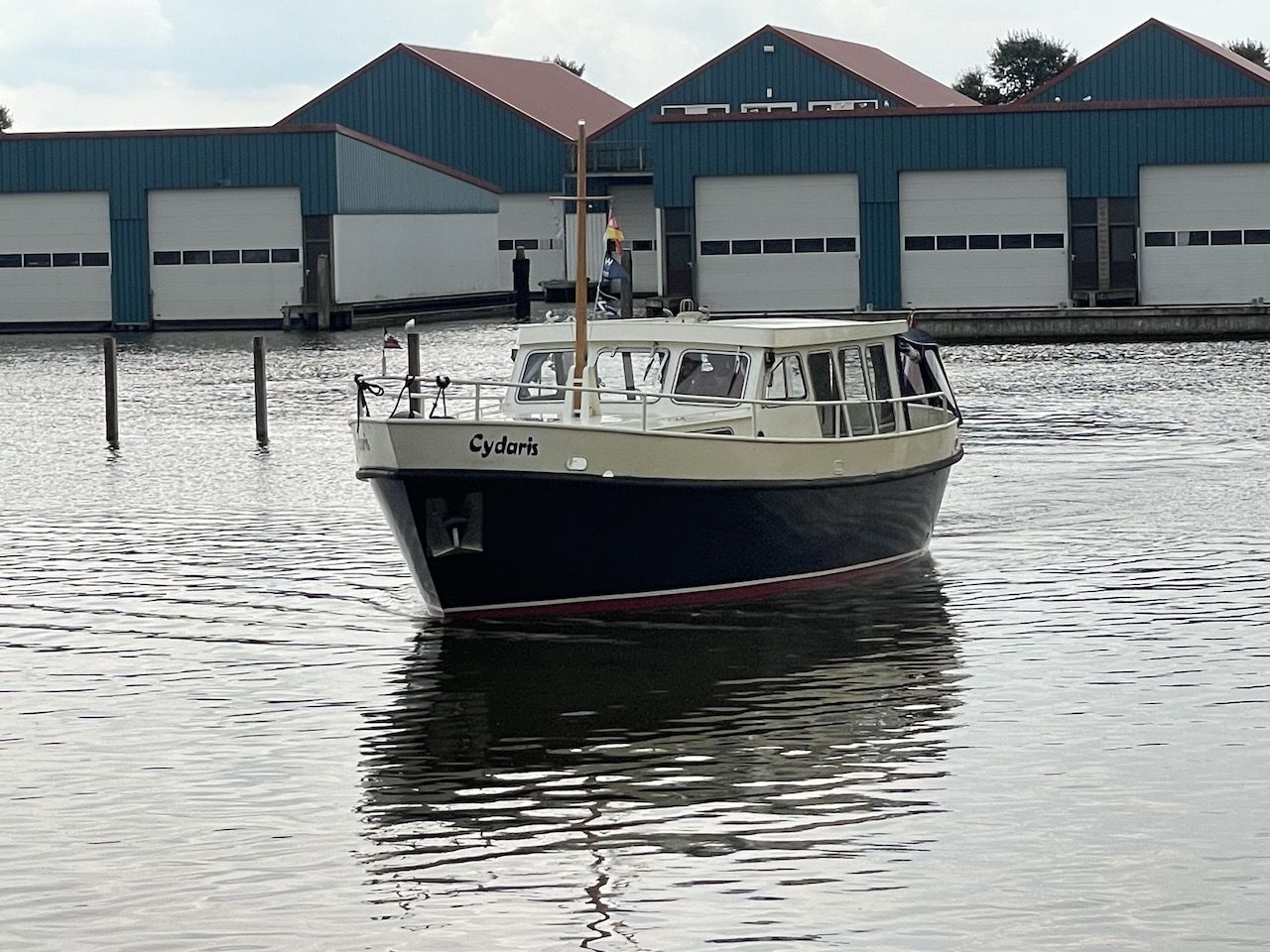 JACKSON Spitsgatkotter hoofdfoto: 1