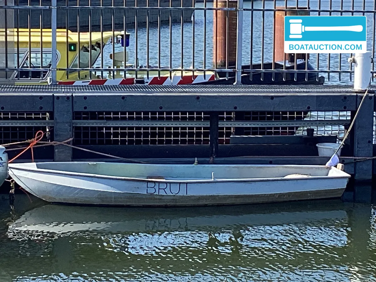 Vlet 400 hoofdfoto: 1