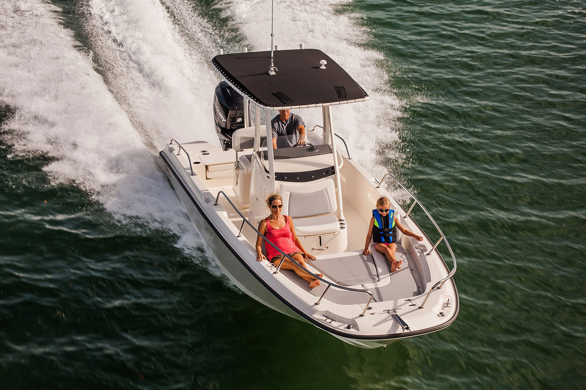Boston Whaler 250 Dauntless
