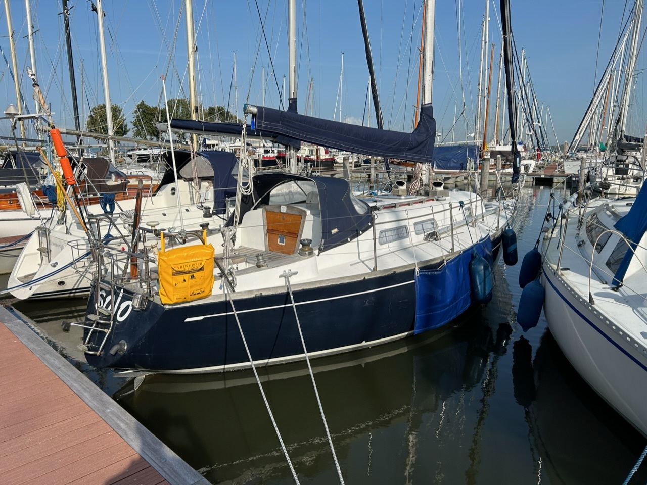Carter 30