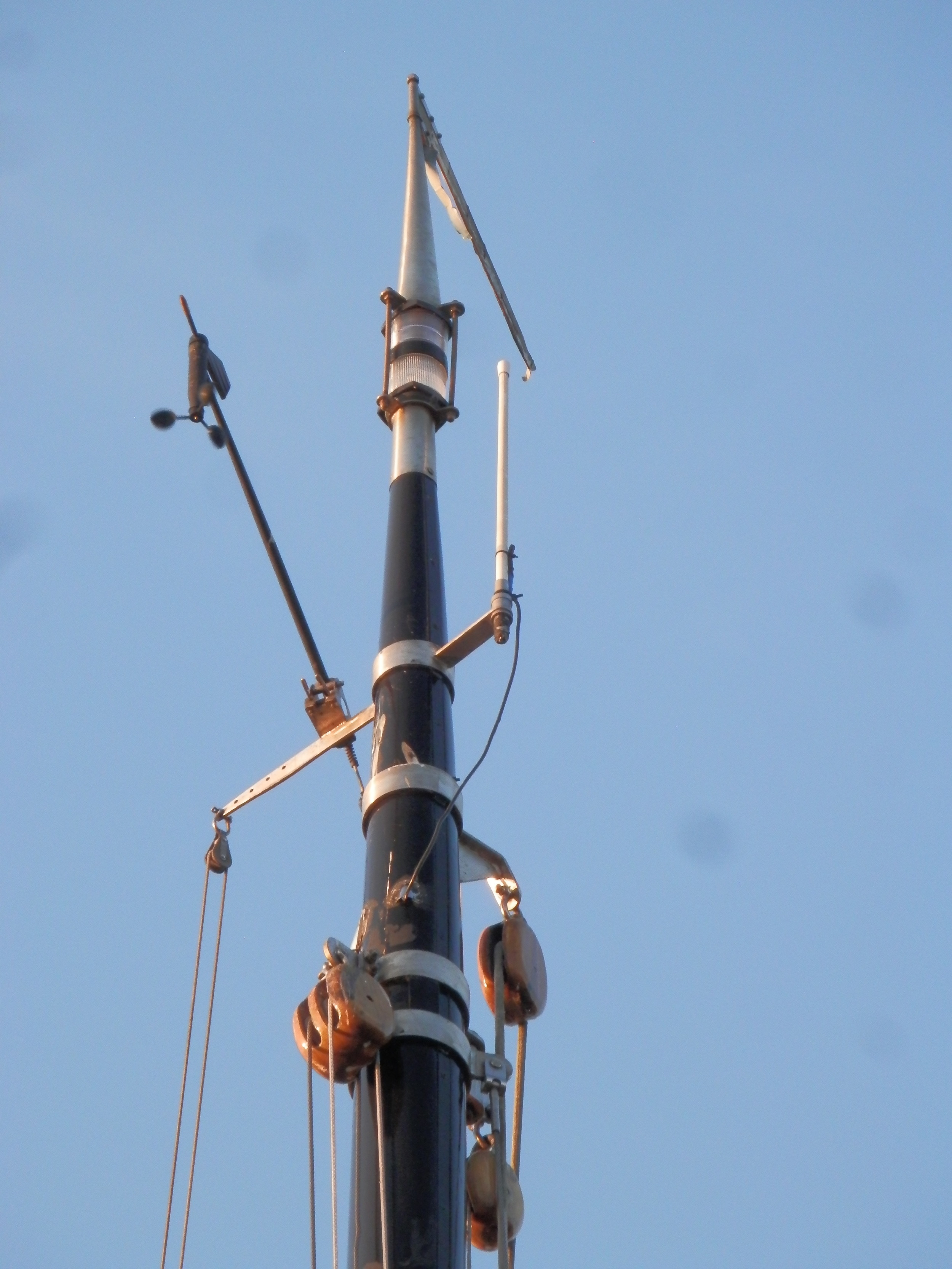 Blom Lemsteraak Roefaak 12.10