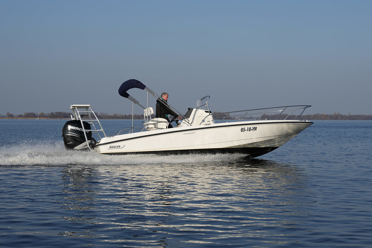Boston Whaler 230 Dauntless