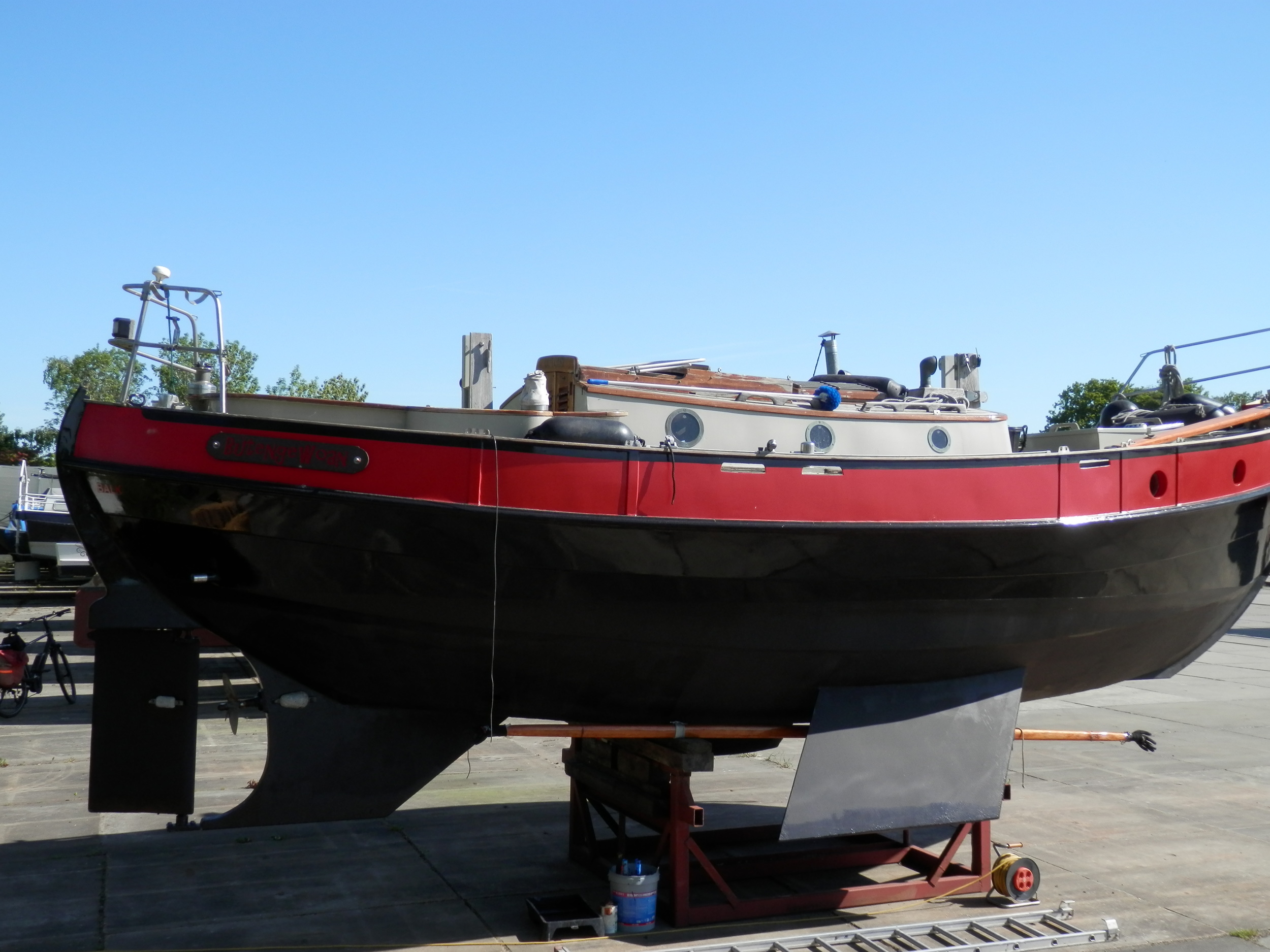 Danish Rose 31