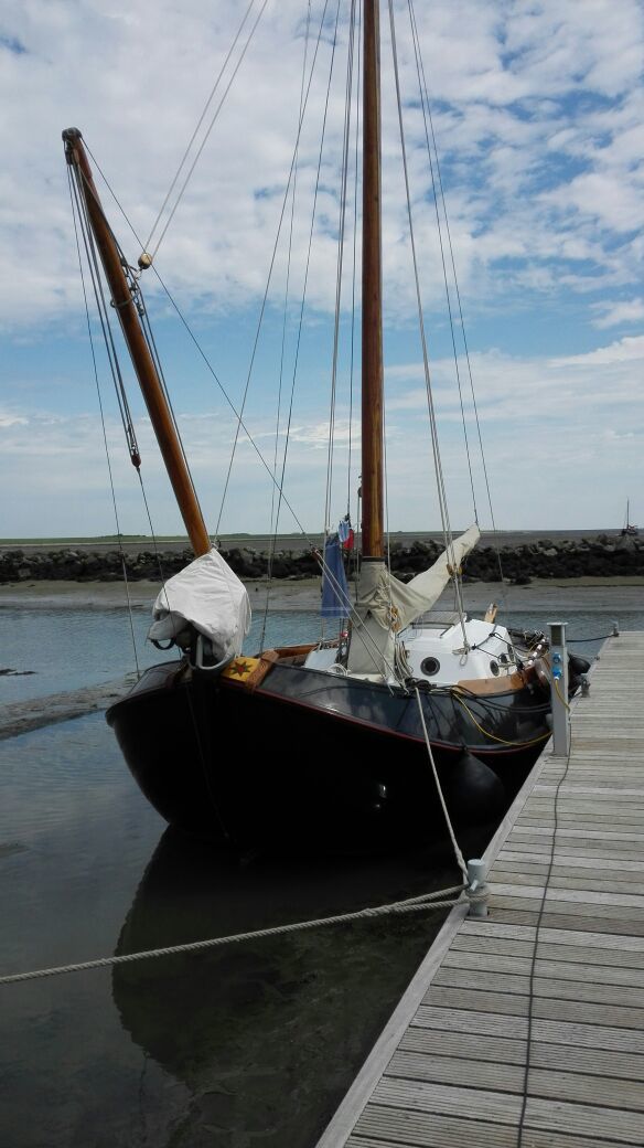 Blom Lemsteraak 10.10