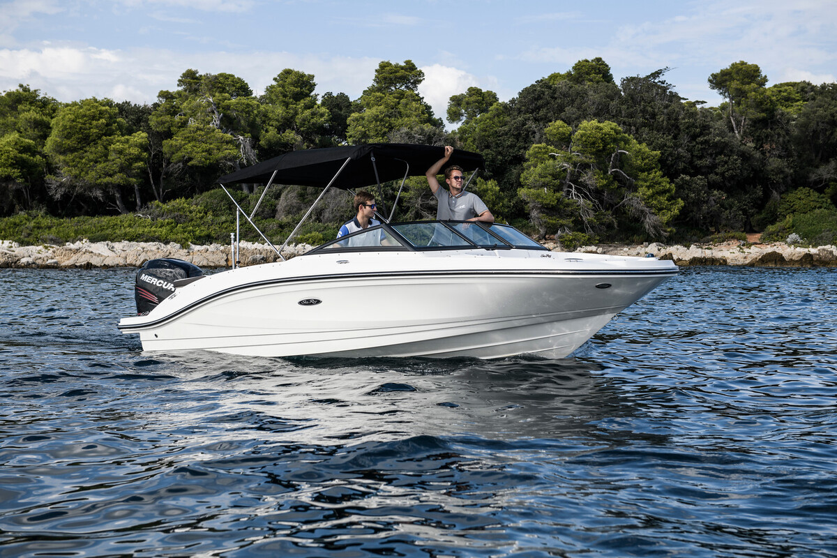 Sea Ray SPX 210 Outboard