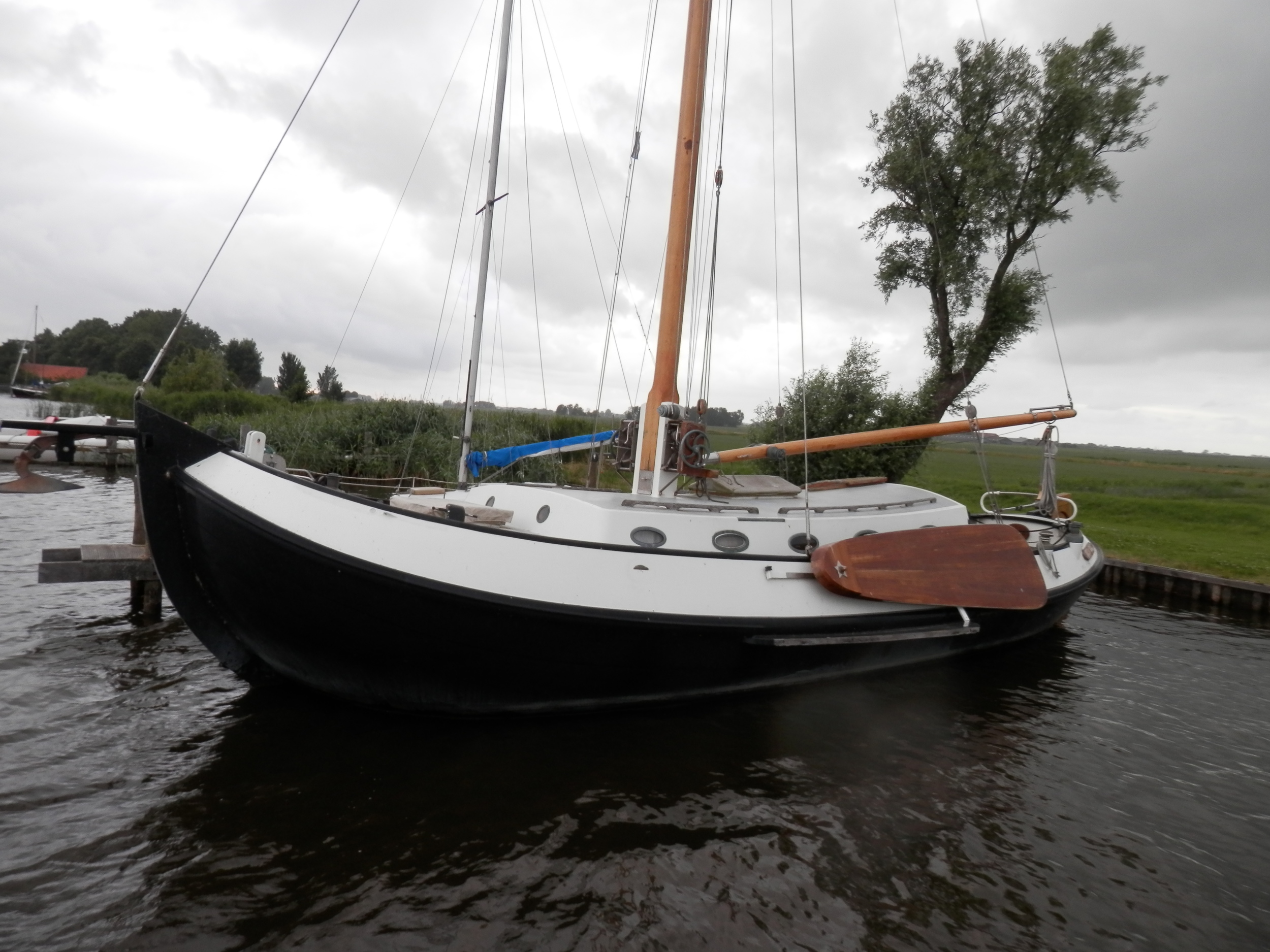 Blom Lemsteraak Roefaak 12.10