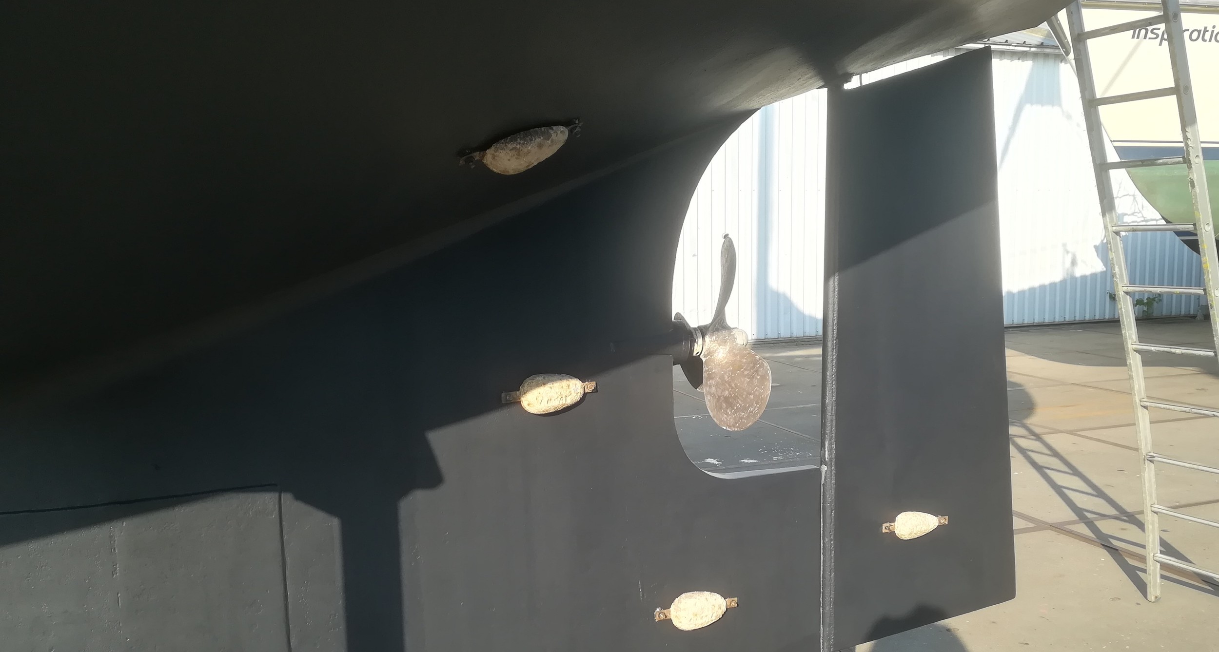 Pieter Beeldsnijder One Off