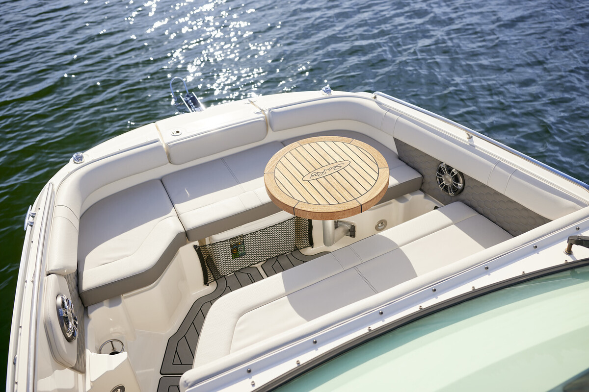 Sea Ray SDX 250
