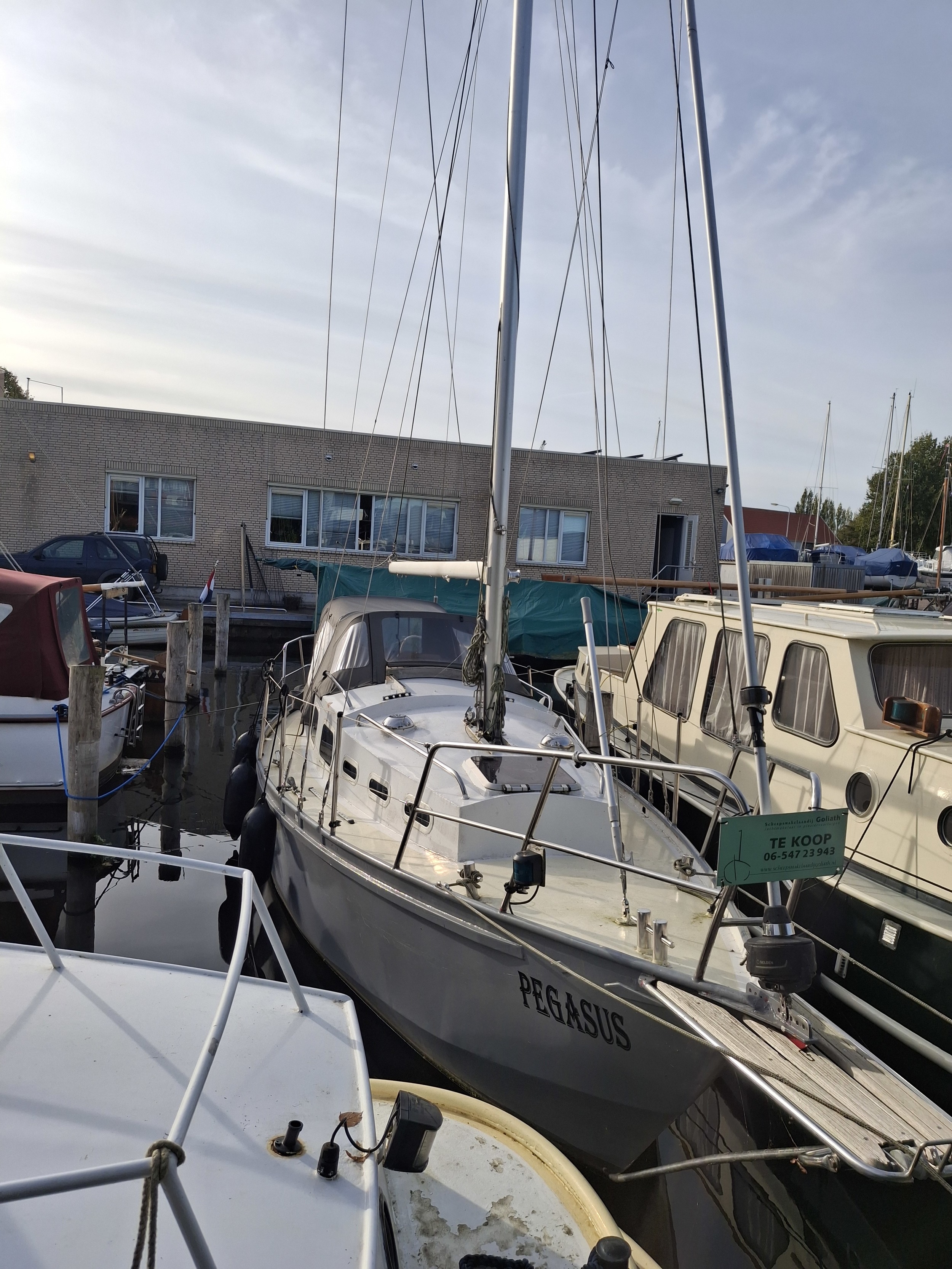 Friesland 9.00 hoofdfoto: 1