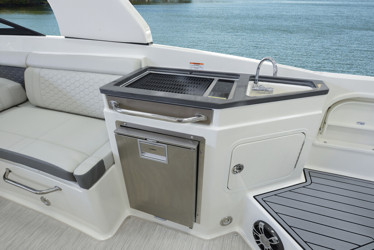 Sea Ray SDX 290