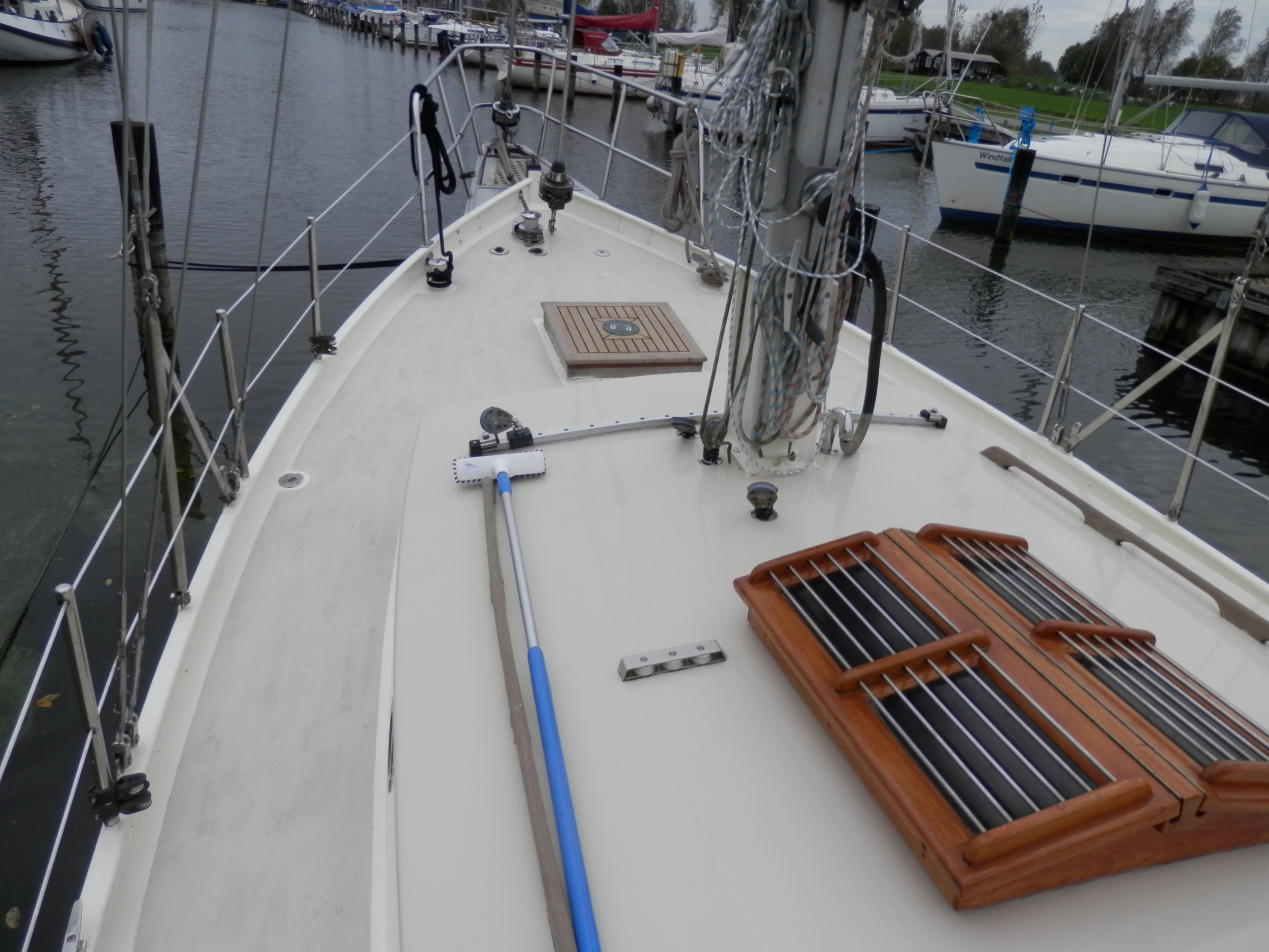 Danish Rose 31