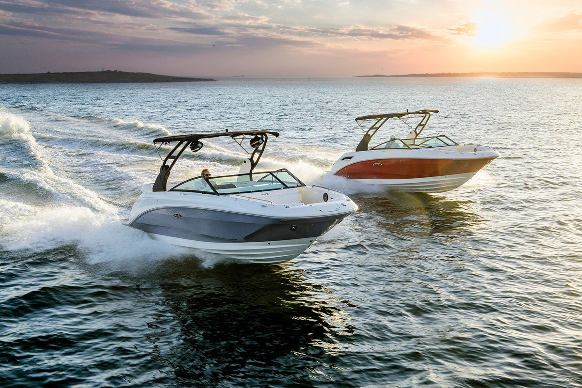 Sea Ray SDX 250