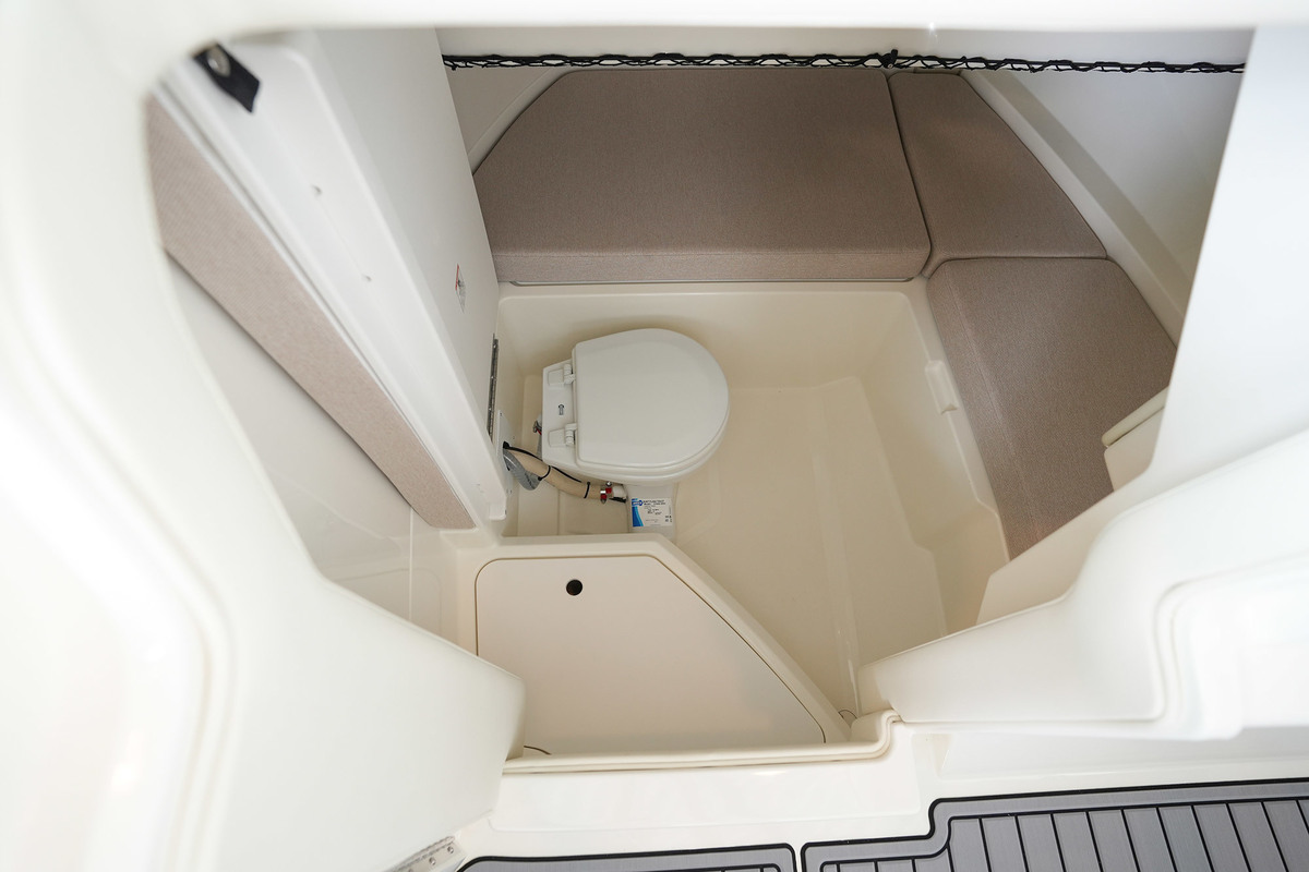 Sea Ray SDX 250