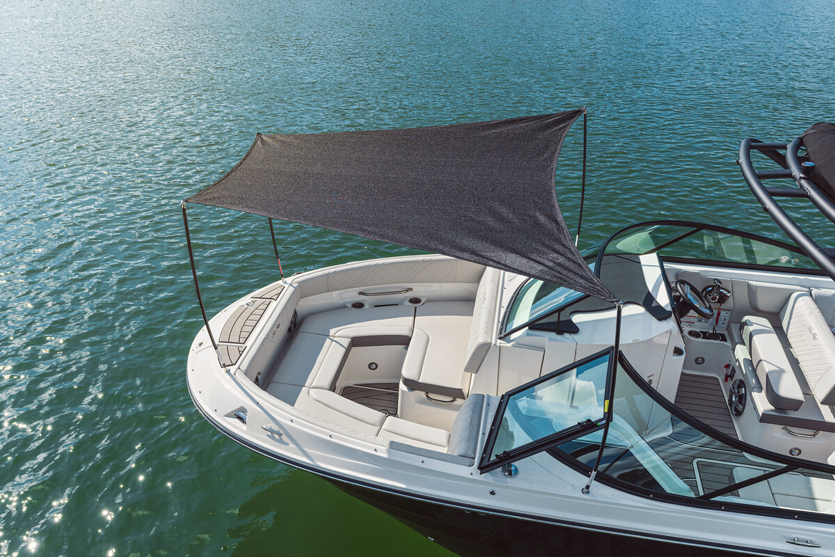 Sea Ray SDX 250