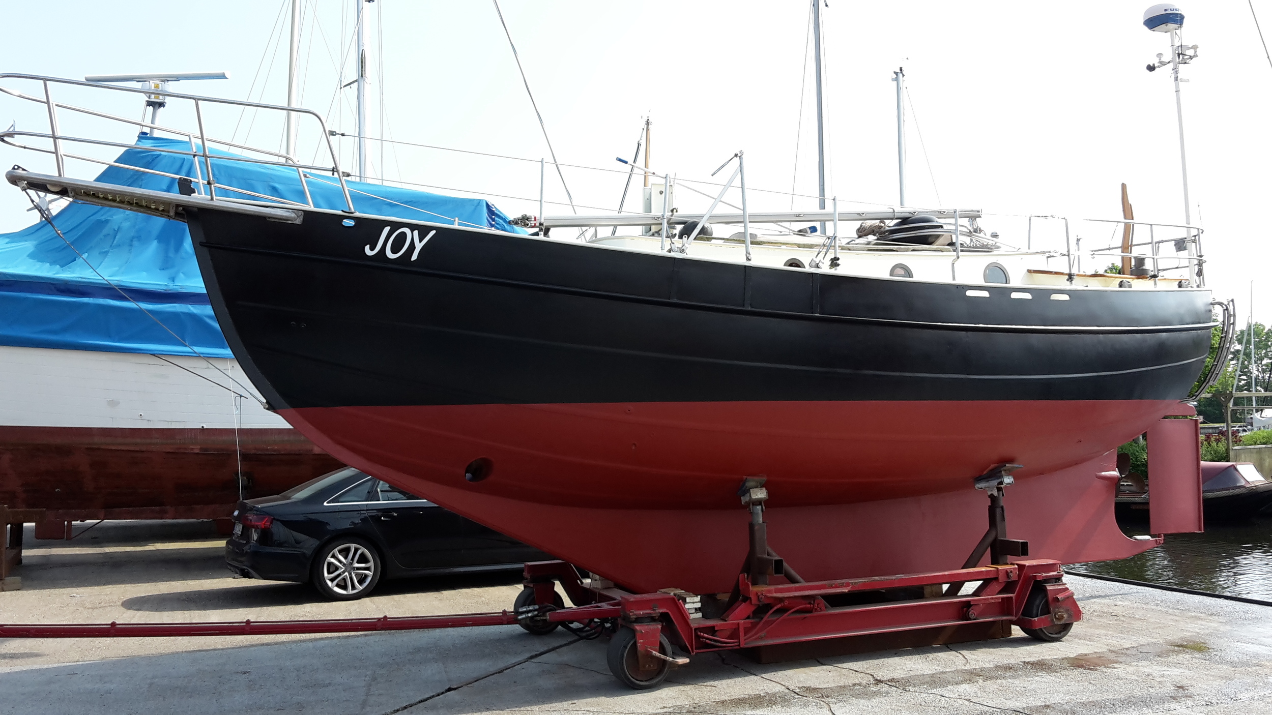Danish Rose 31