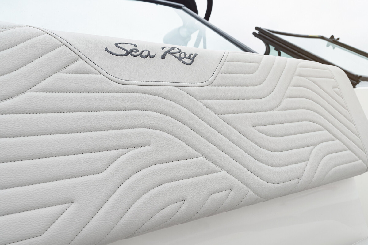 Sea Ray SDX 270 Surf