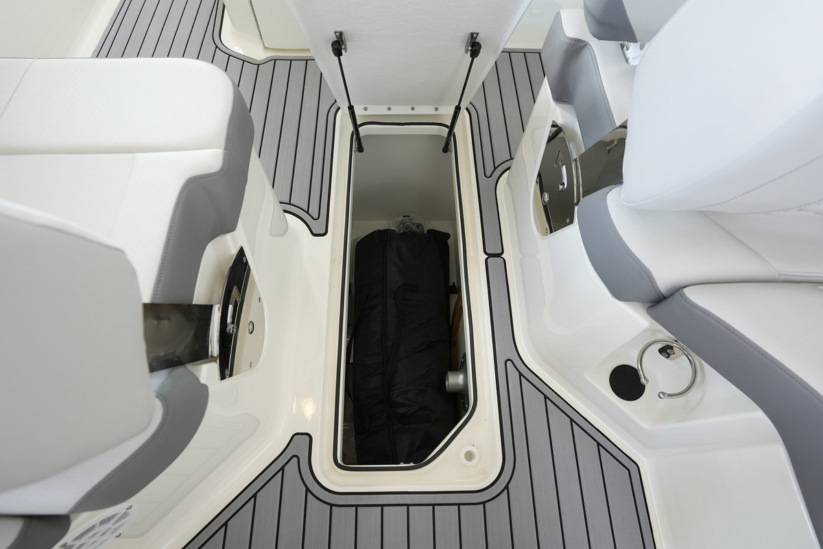 Sea Ray SDX 250