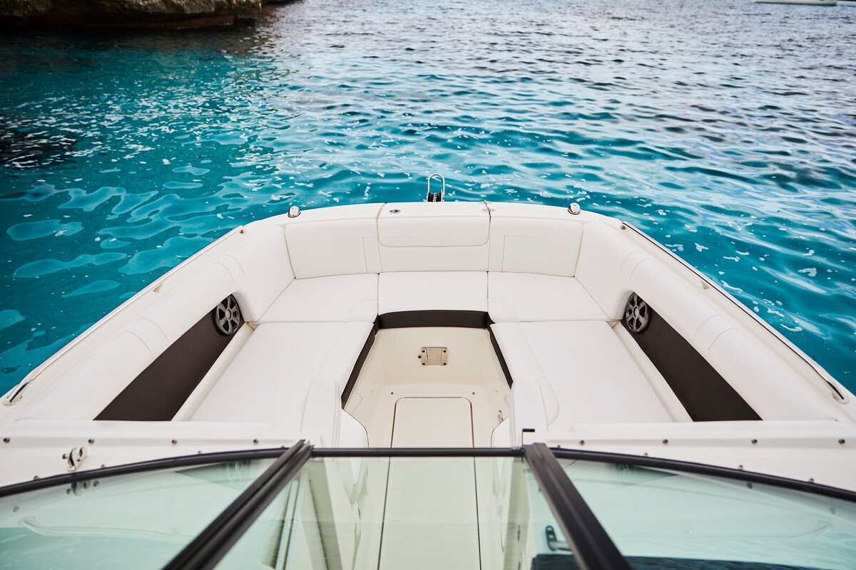 Sea Ray SDX 270
