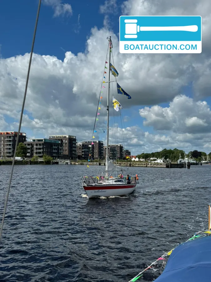 Helmsman 31
