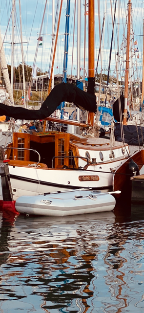 Vollenhovense Bol 9.75