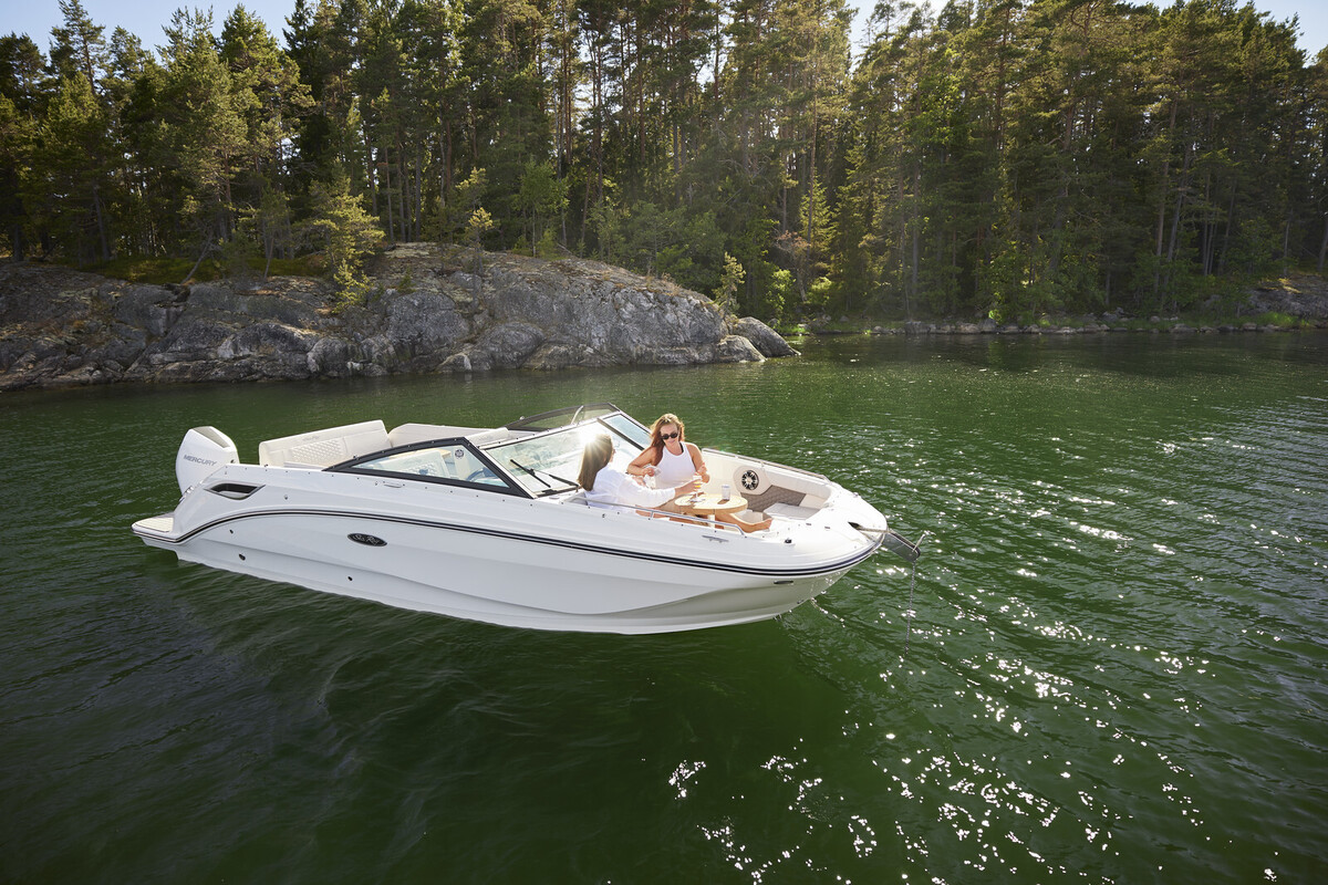 Sea Ray SDX 250 Outboard