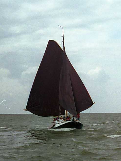 Blom Lemsteraak Roefaak 12.10