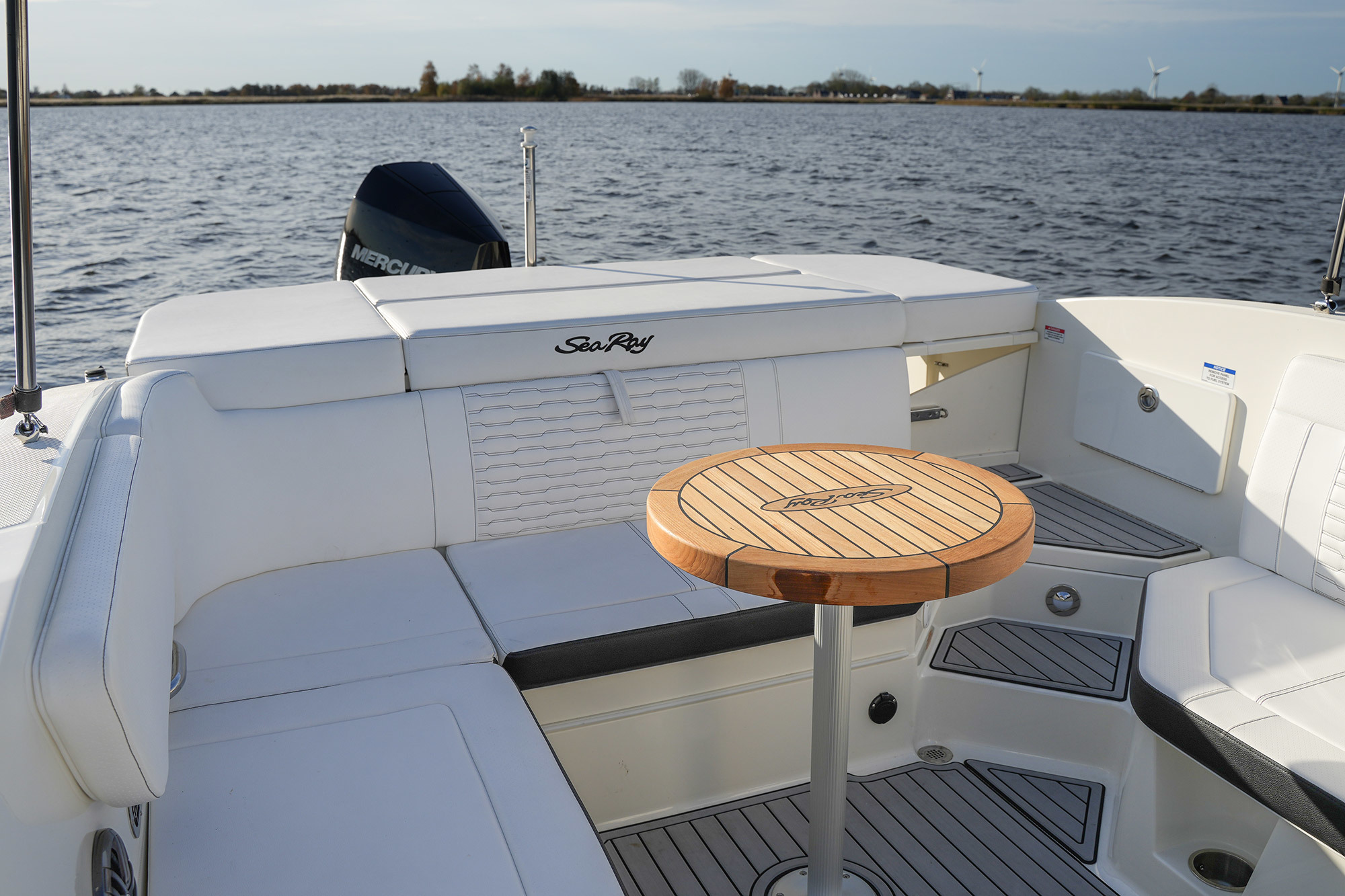 Sea Ray SPX 230 Outboard