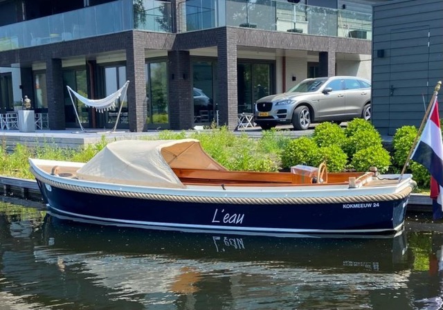 Kokmeeuw  24 hoofdfoto: 1