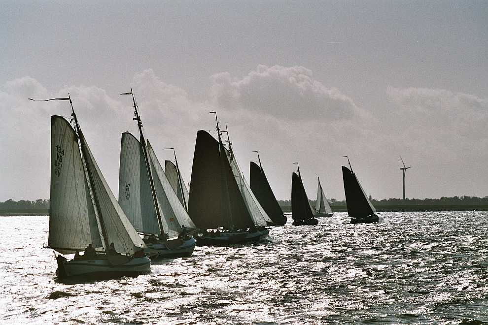 Blom Lemsteraak Roefaak 12.10