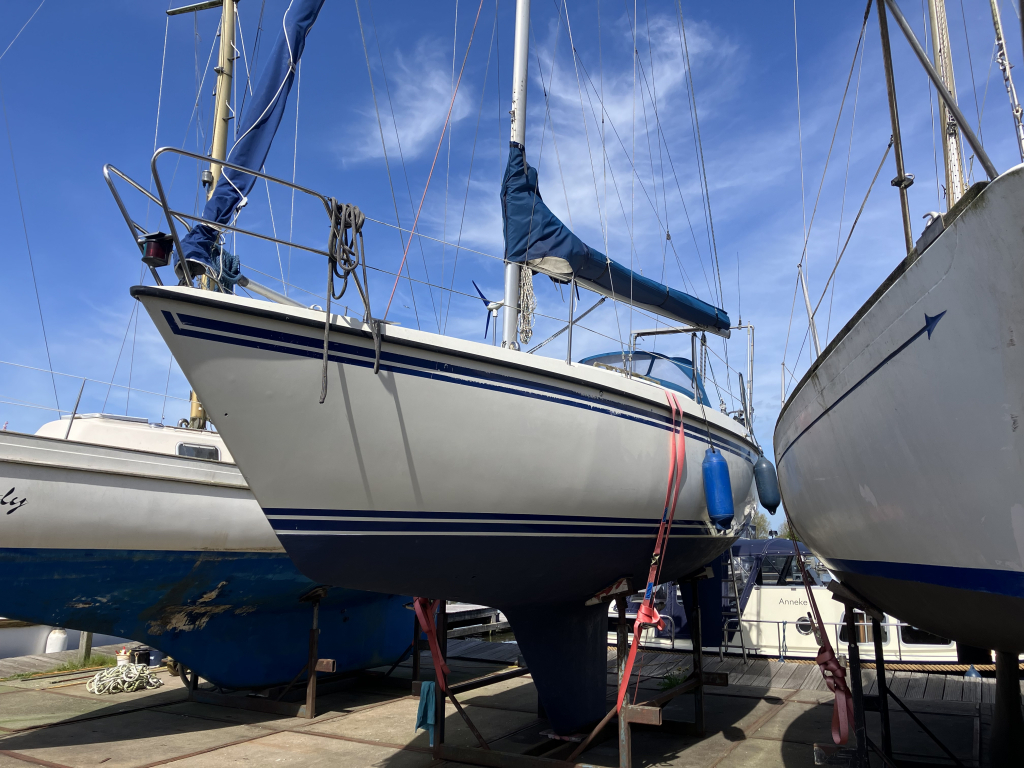 Sunwind 31