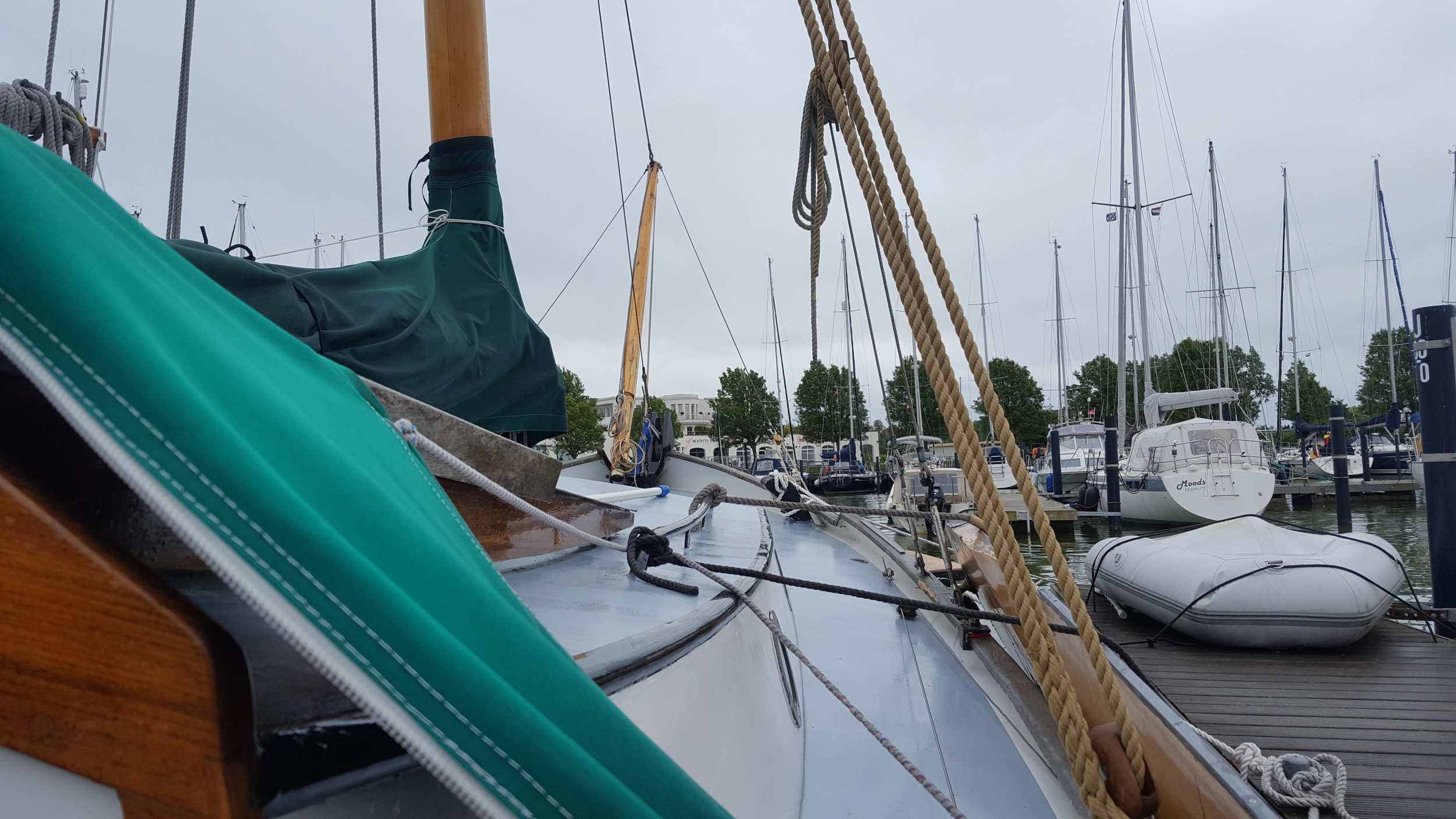 Vredenburgh Schokker 984