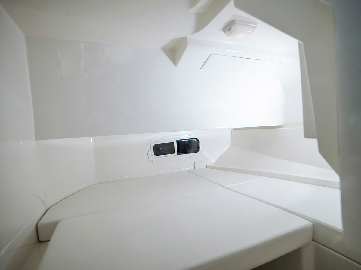 Sea Ray SDX 250