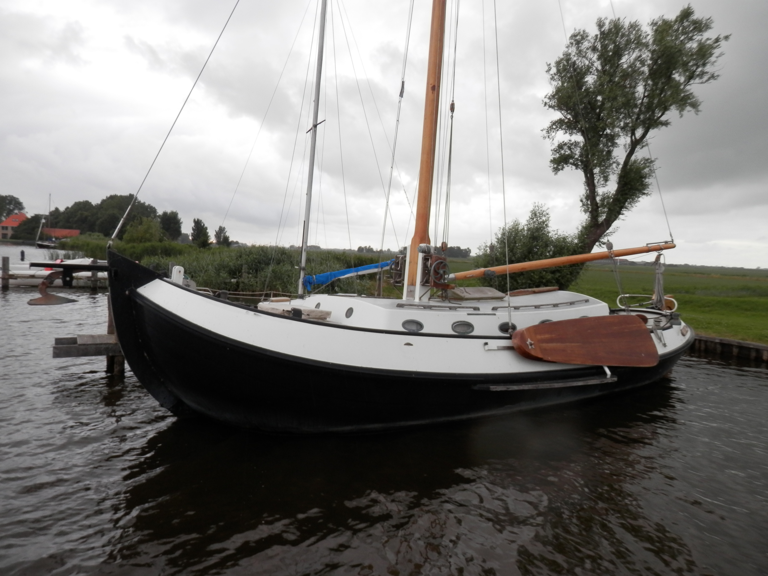 Blom Lemsteraak Roefaak 12.10