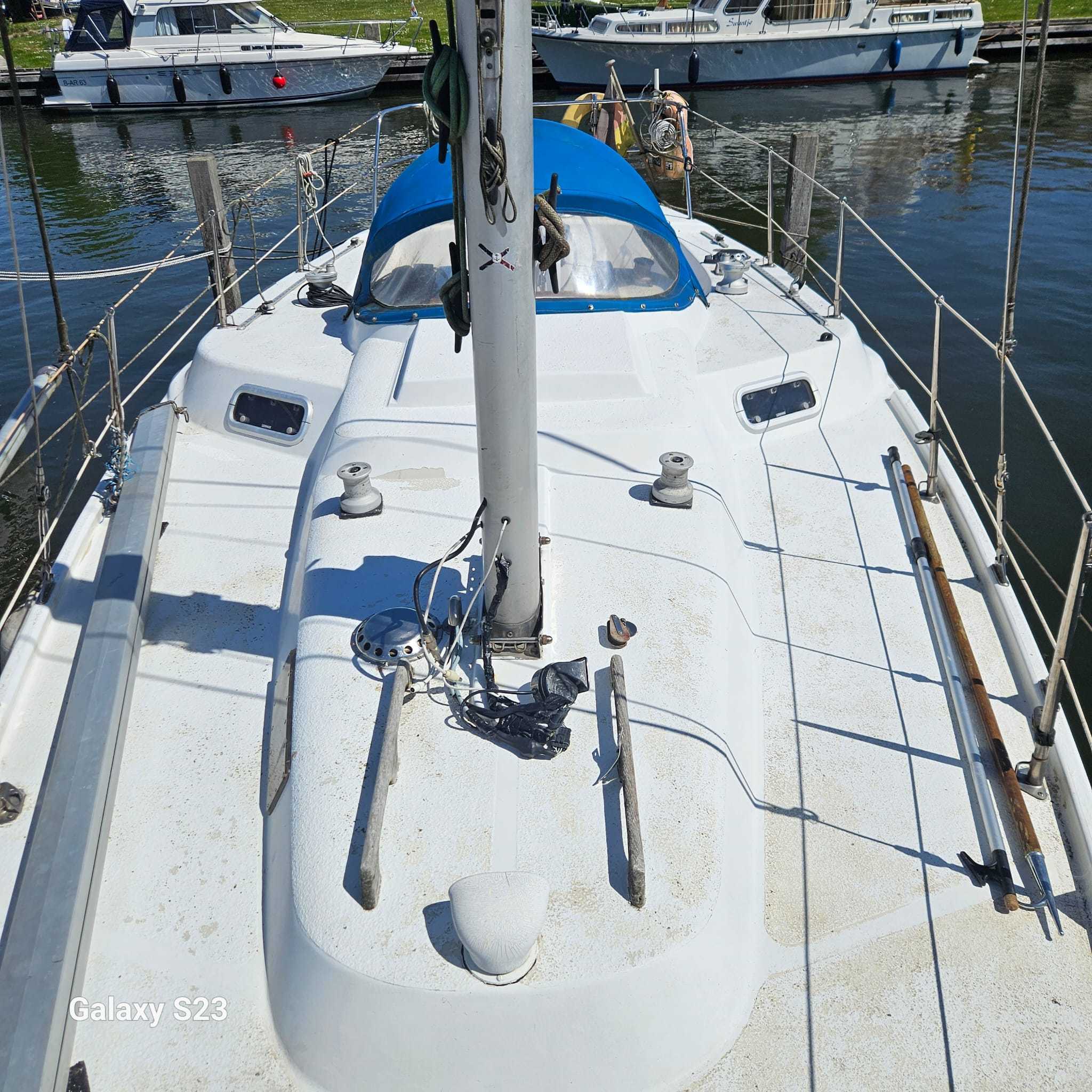 Deerberg Beryll 9.15