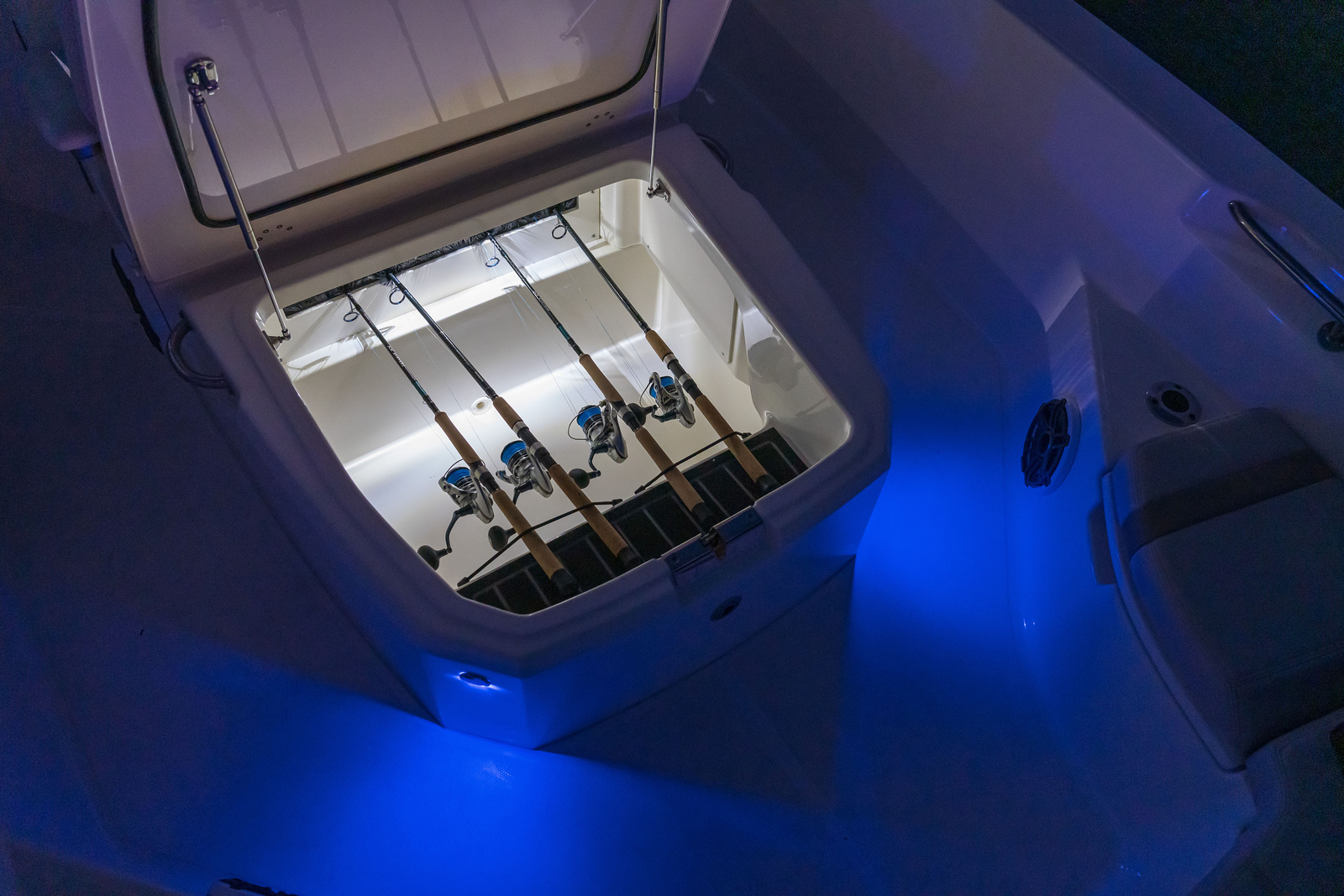 Boston Whaler 250 Dauntless