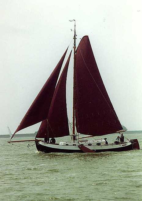 Blom Lemsteraak Roefaak 12.10