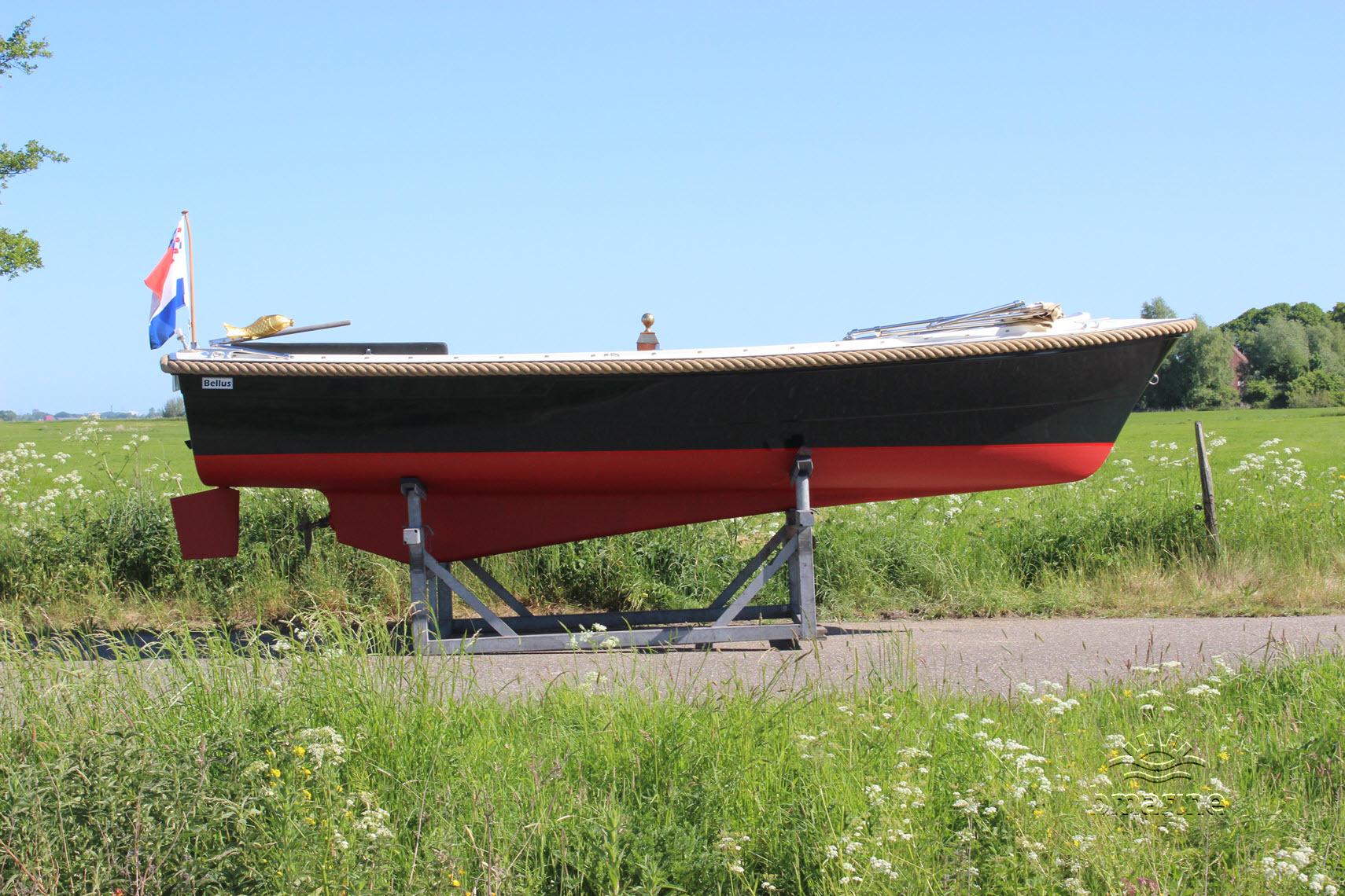 Bellus 580