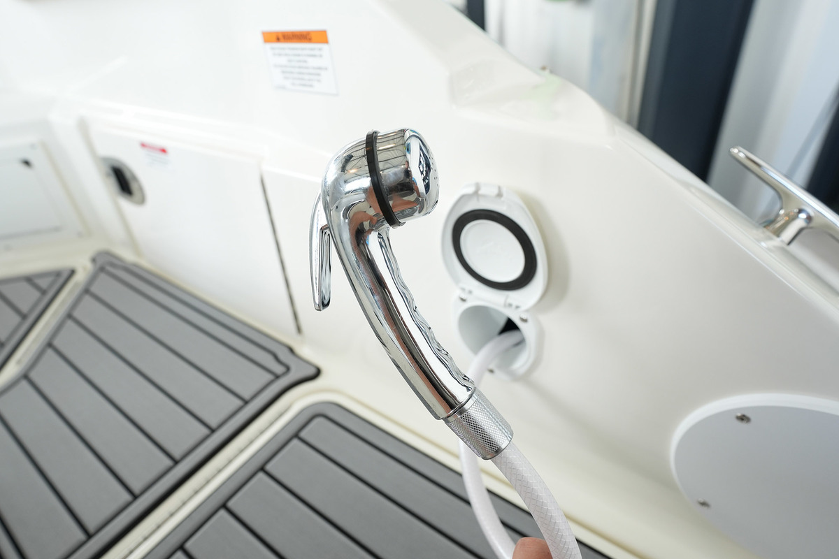Sea Ray SDX 250