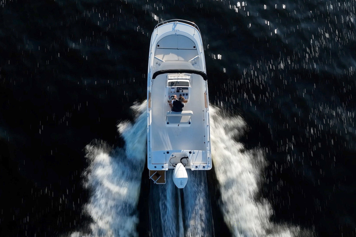 Boston Whaler 210 Montauk