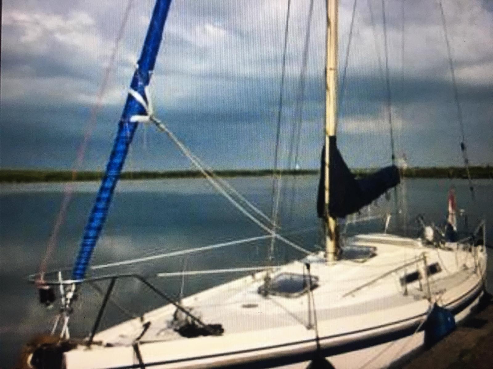 Contest 31