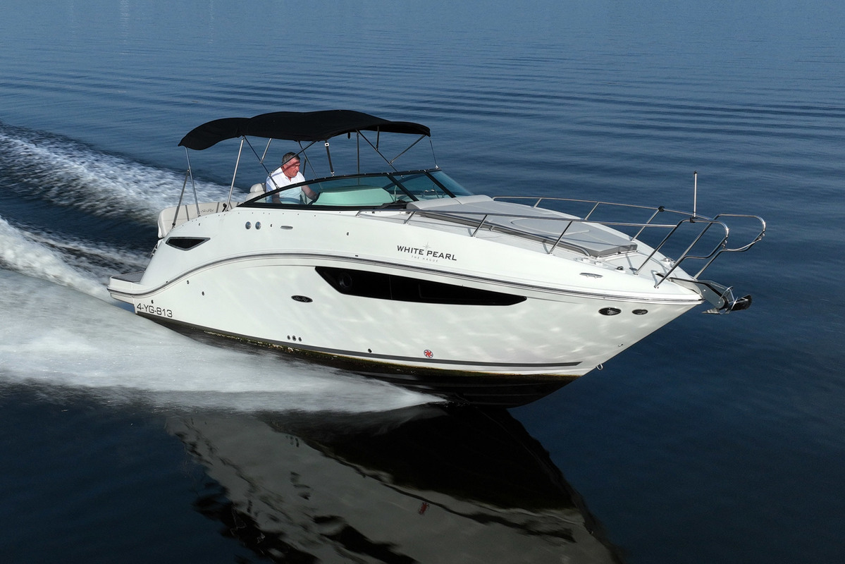 Sea Ray 265