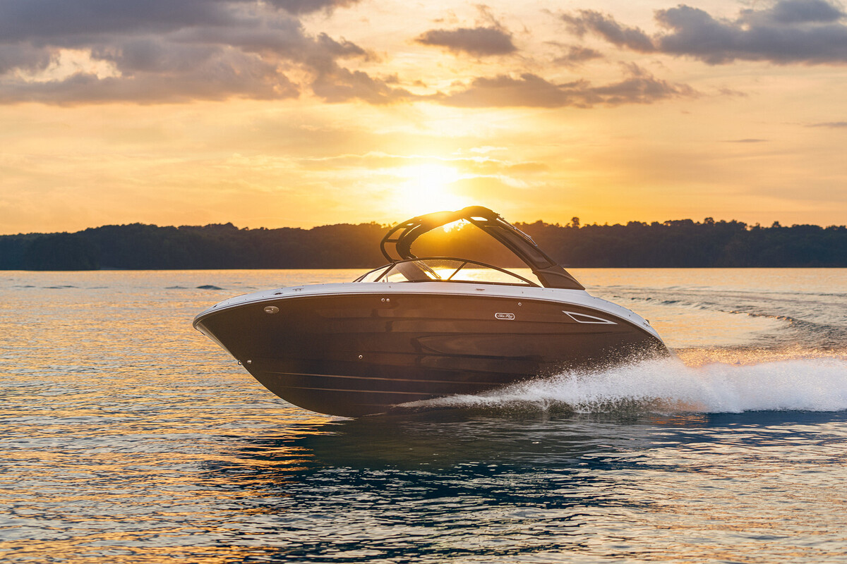 Sea Ray SDX 250