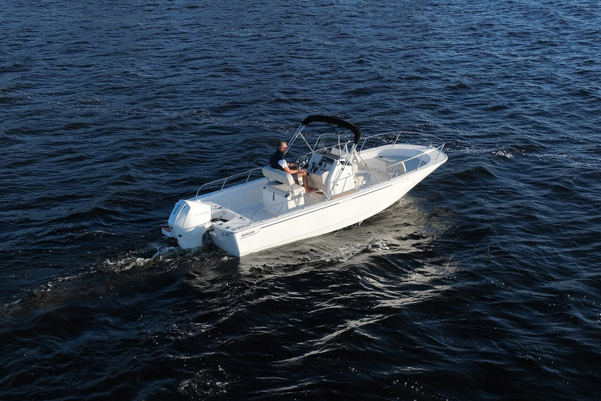 Boston Whaler 210 Montauk