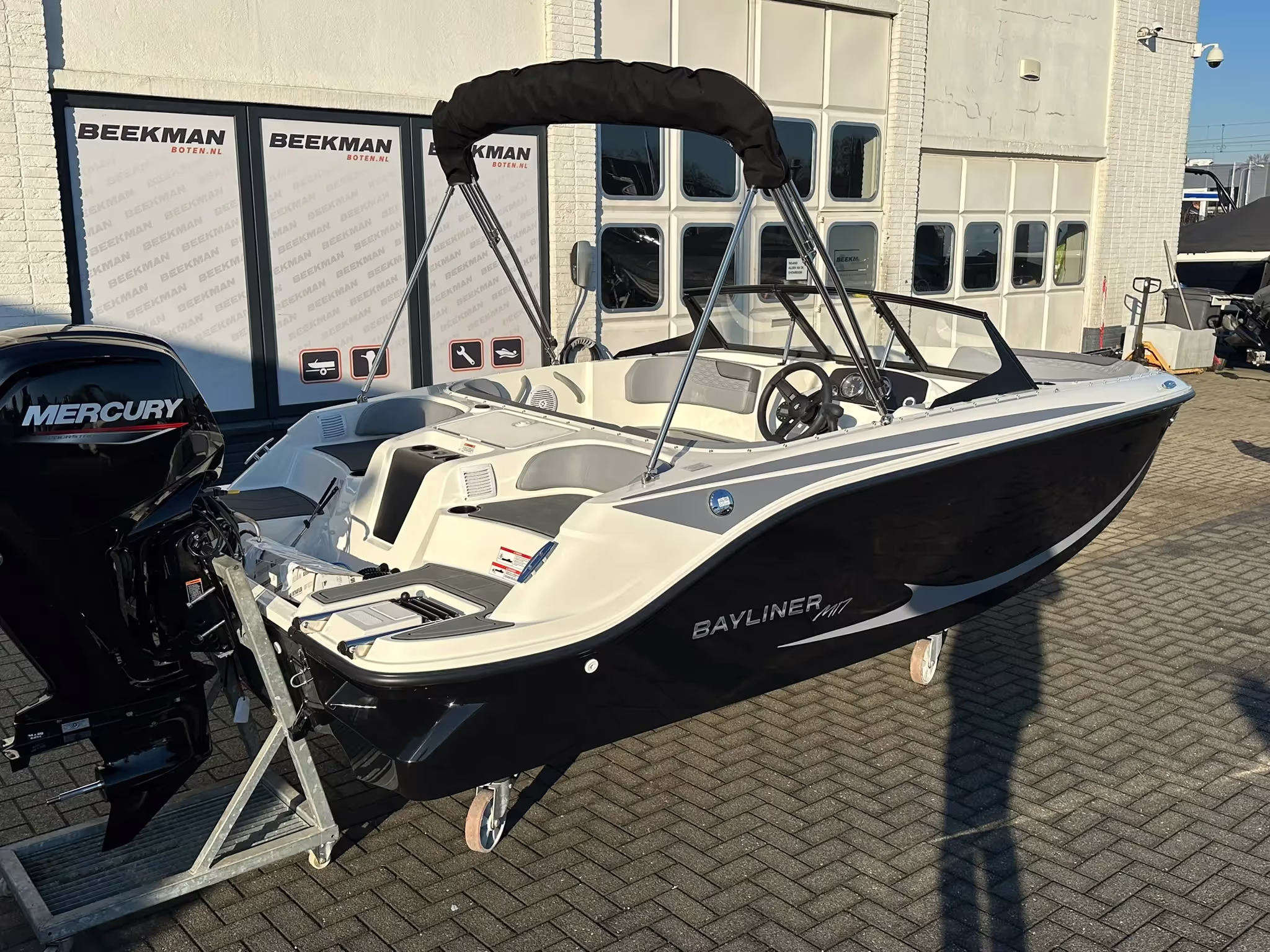 Bayliner Element M17