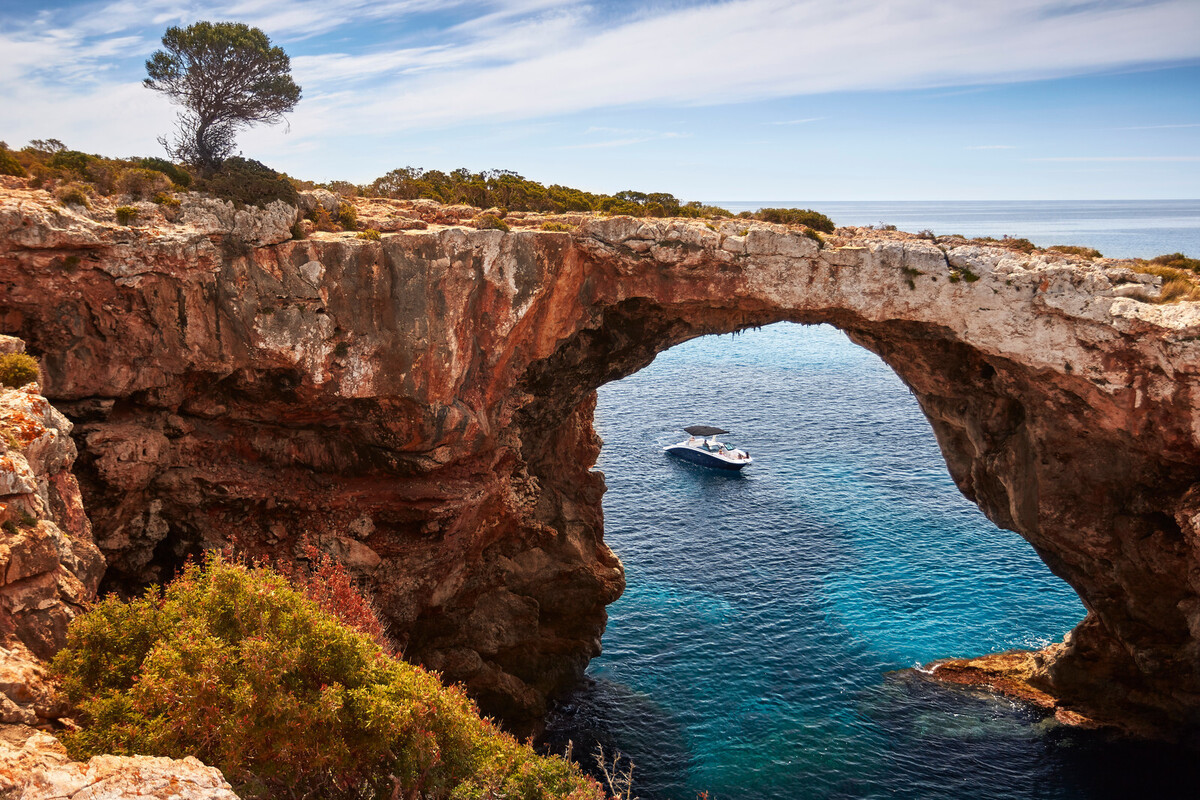 Sea Ray SDX 270