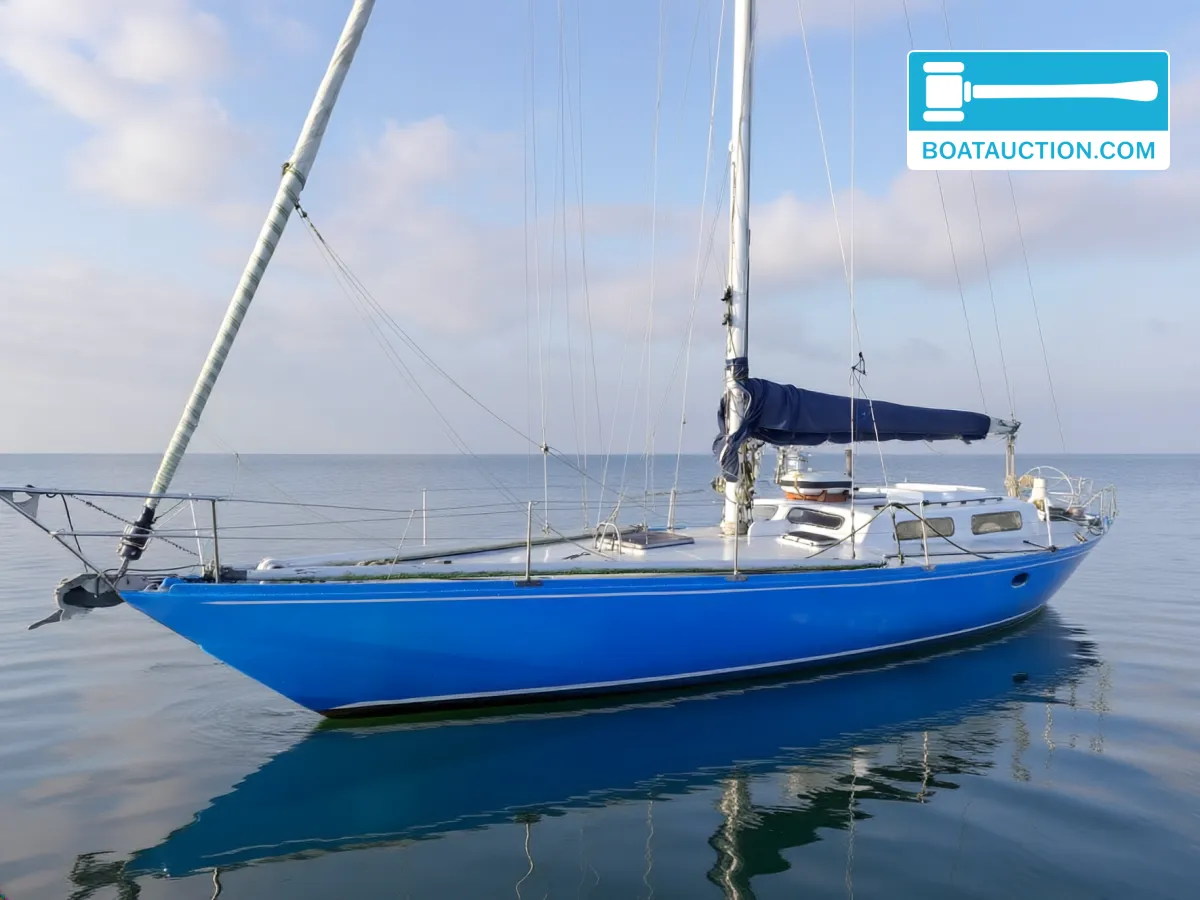 Carter 42 hoofdfoto: 1